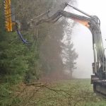 bagger-tom Waldarbeiten